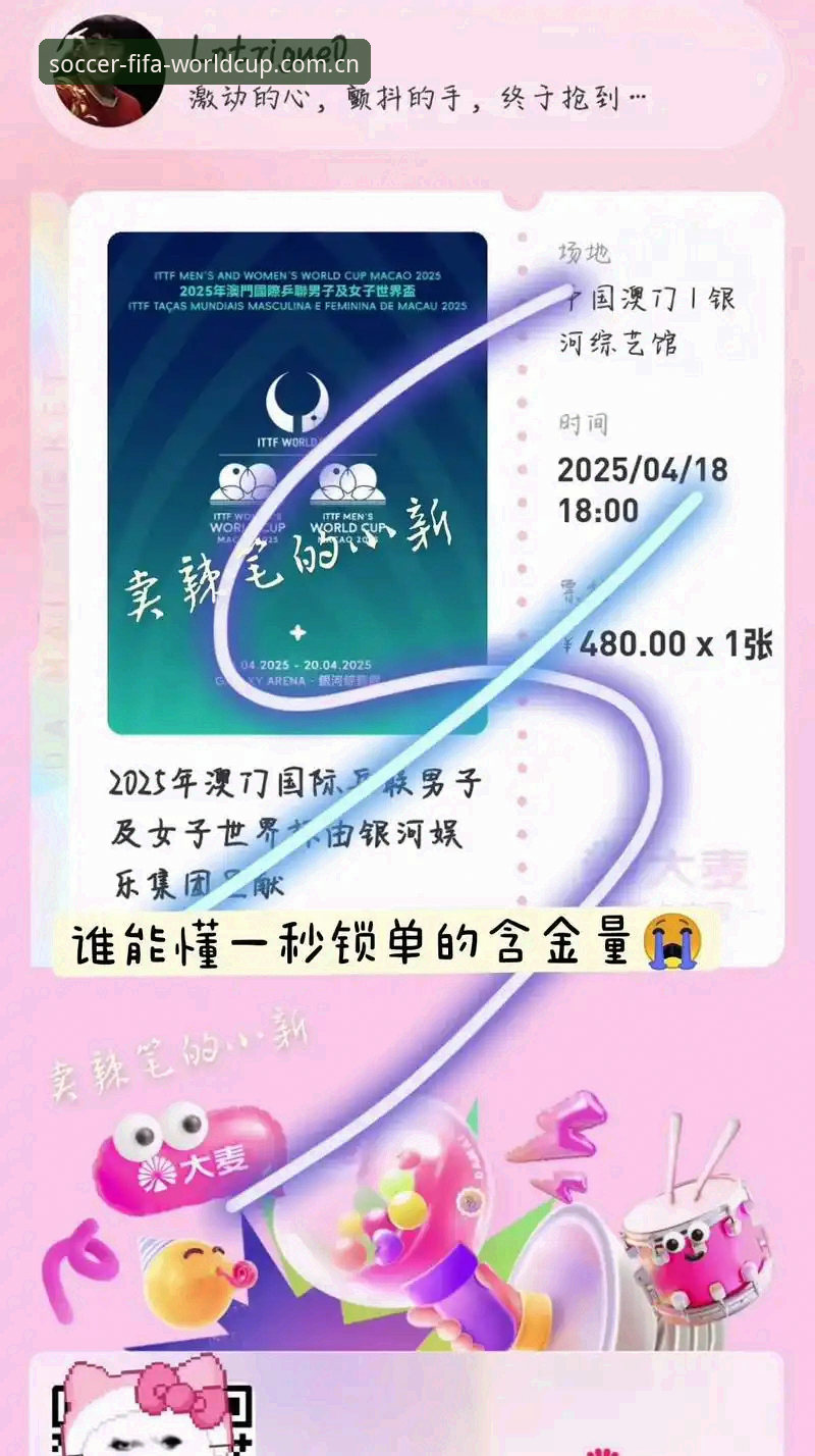 揭秘世界杯门票预订背后的真相：从抢票焦虑到智能锁定，你不可不知的2026攻略